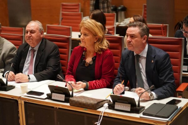 El PP de Cuenca lamenta que Torralba evitara condenar la corrupción y centrara su intervención en polémicas ajenas al objeto de la comisión
