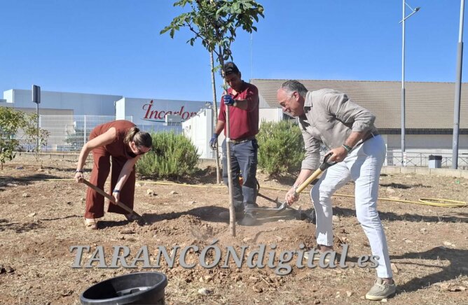 Tarancón planta dos castaños de Indias junto a Nueva Luz y refuerza su mensaje de concienciación medioambiental