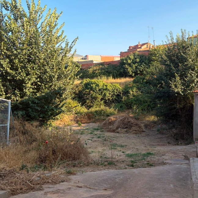 El PP de Villarta exige a la Confederación Hidrográfica del Júcar la limpieza y el mantenimiento de los cauces