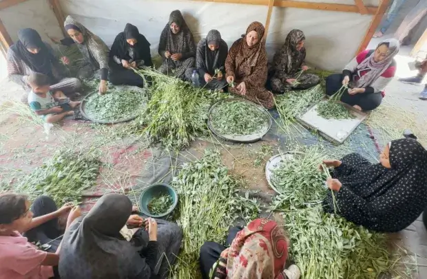 Castilla-La Mancha refuerza su respuesta ante las grandes crisis humanitarias respaldando a 22 proyectos
