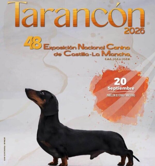Tarancón acoge este domingo la 48ª Exposición Nacional Canina de Castilla-La Mancha